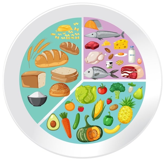 A visual representation of a balanced plate with lean protein, complex carbohydrates, and healthy fats, alongside a weightlifting barbell and a stopwatch, symbolizing the critical integration of diet, training, and timing for optimal muscle growth.