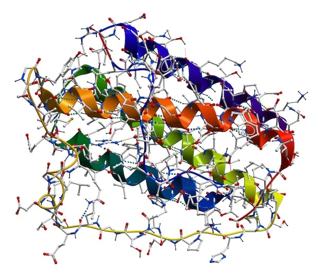 A detailed illustration of molecular structures of amino acids, highlighting the branched chains of BCAAs, set against a blurred background of a scientific lab.