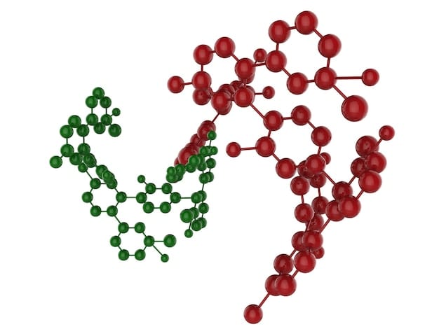 Molecular diagram showing the conversion of L-citrulline to L-arginine and then to nitric oxide, illustrating the biochemical pathway.
