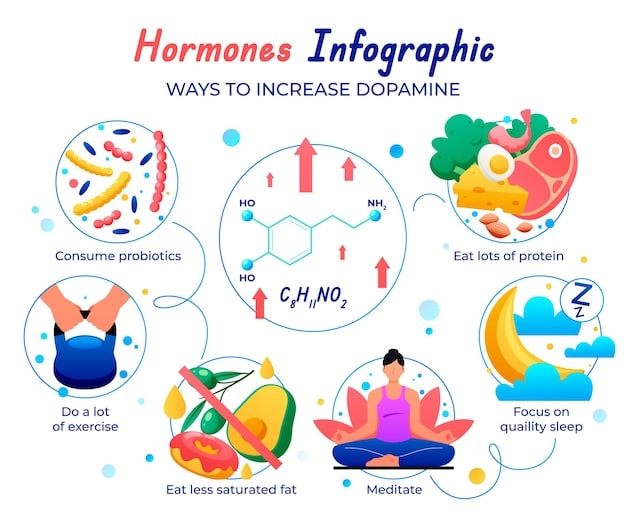 A detailed diagram showing how supplements enhance natural testosterone production or boost nitric oxide in the human body, with clear anatomical labels and pathways.