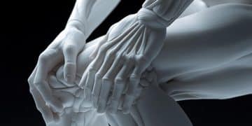 Top 5 Joint Health Supplements for Lifters - Cover Image