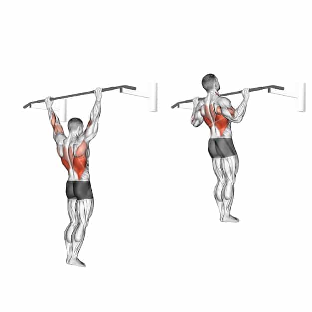 A detailed diagram showing different pull-up grips (wide, neutral, close) with arrows indicating primary muscle activation for each.