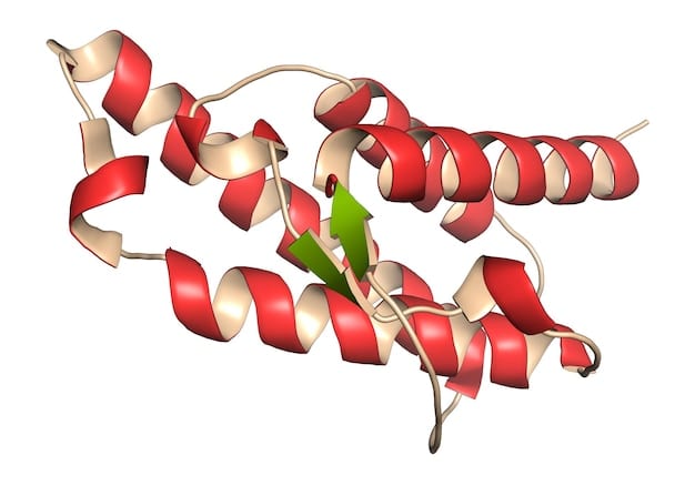 A detailed illustration of muscle fibers repairing and growing, symbolizing the cellular processes of recovery and growth after exercise.