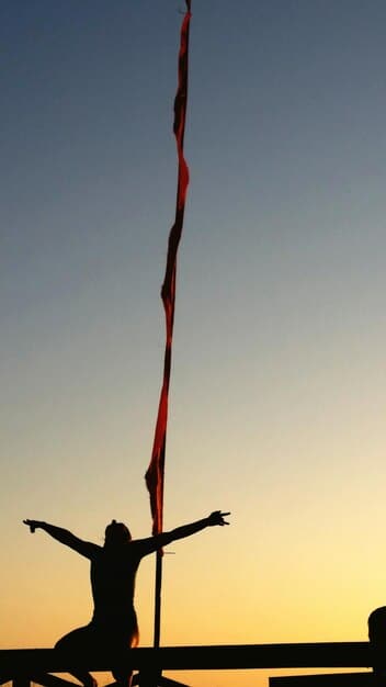 Master Calisthenics: Beginner-to-Advanced Bodyweight Mastery